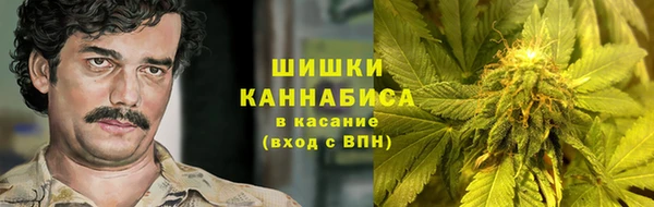 ешки Бородино