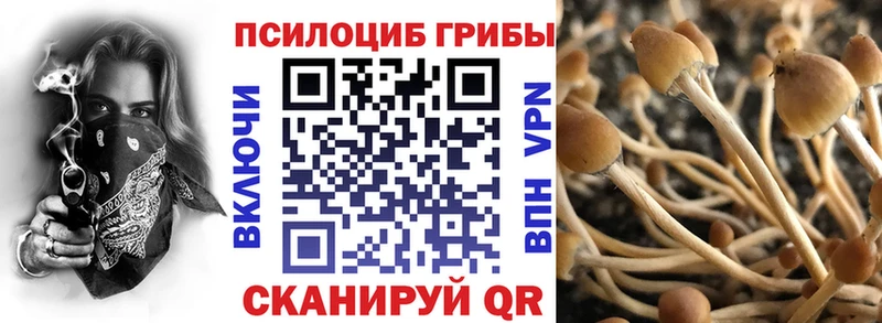 kraken зеркало Семёнов Галлюциногенные грибы мухоморы